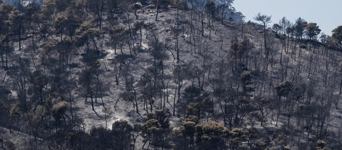 Συγκλονιστικές εικόνες σε βίντεο από drone μετά την καταστροφή σε Σχίνο και Γεράνεια Όρη